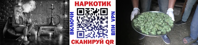 Где купить наркотики Прохладный ГАШИШ  mega   Мефедрон  Alpha-PVP  АМФЕТАМИН 