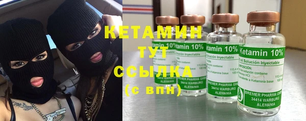 шишки Болохово