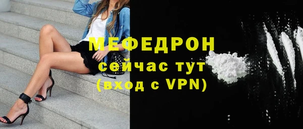 сатива Новозыбков