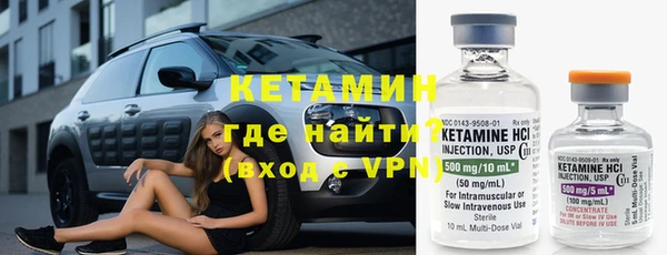 сатива Новозыбков