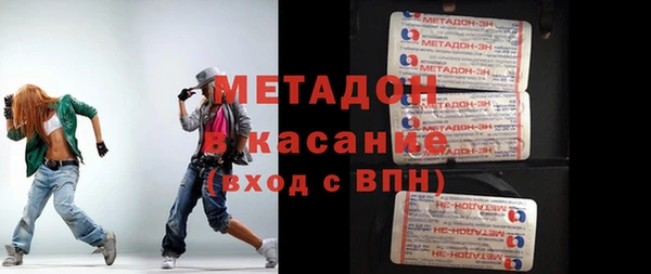 сатива Новозыбков