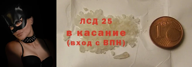 сатива Новозыбков