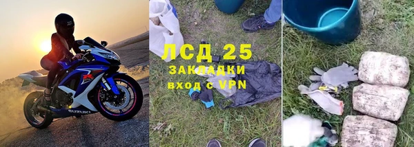 PSILOCYBIN Новодвинск