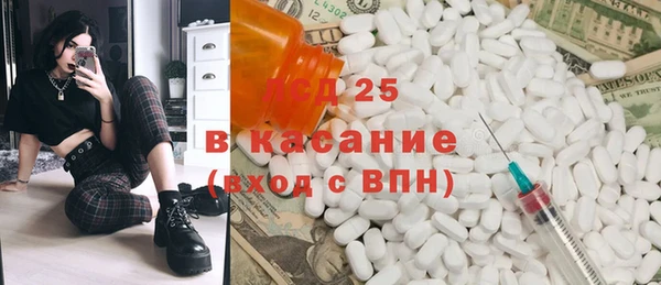 PSILOCYBIN Новодвинск