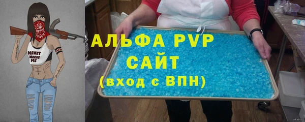спиды Болотное