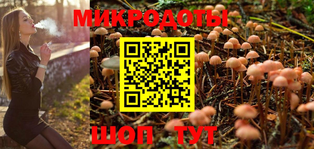Галлюциногенные грибы Psilocybe Прохладный