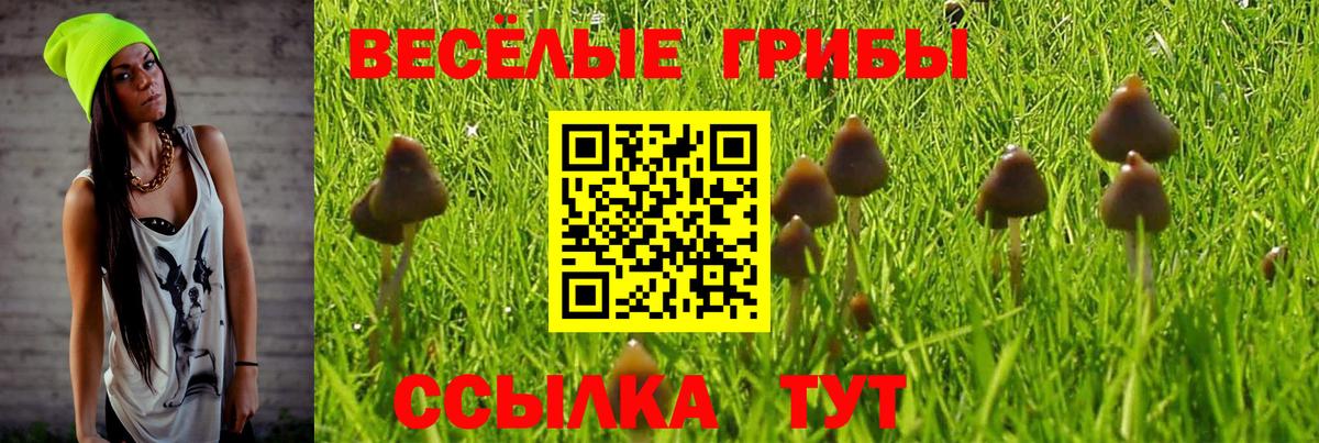 Галлюциногенные грибы GOLDEN TEACHER Прохладный