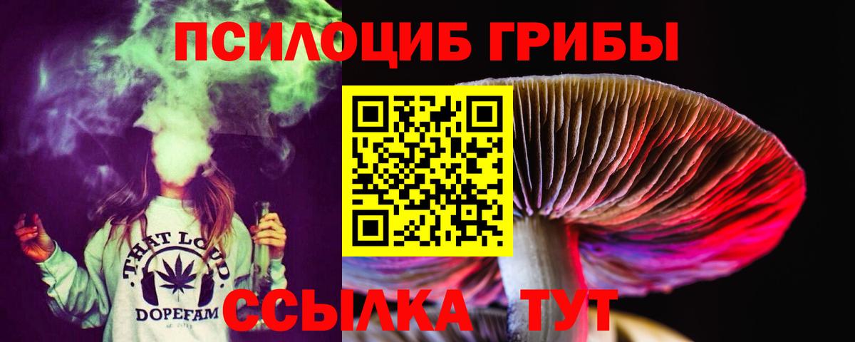Марки  Прохладный  Мяу-Мяу  Ляпка  Канабис  Кокаин  Alpha-PVP  Вход с VPN 