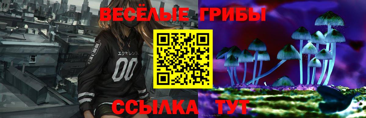 Прохладный  Псилоцибиновые грибы прущие грибы  дарнет шоп  Вход с VPN 